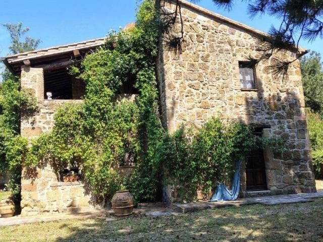 Rustico / Casale in vendita a Sorano GR