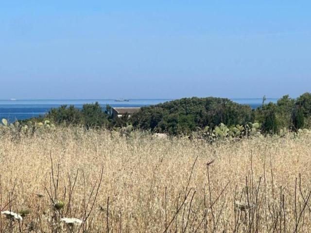 Rustico / Casale in vendita a Sorso SS