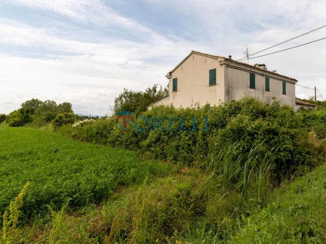 Rustico / Casale in vendita a Savignano sul Rubicone FC
