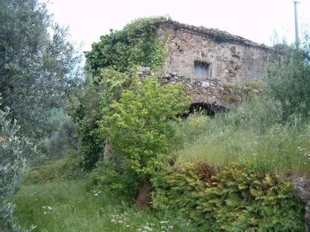 Rustico / Casale in vendita a San Mauro Cilento SA