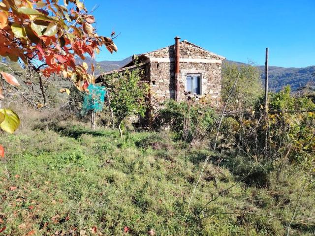 Rustico / Casale in vendita a San Mauro Cilento SA