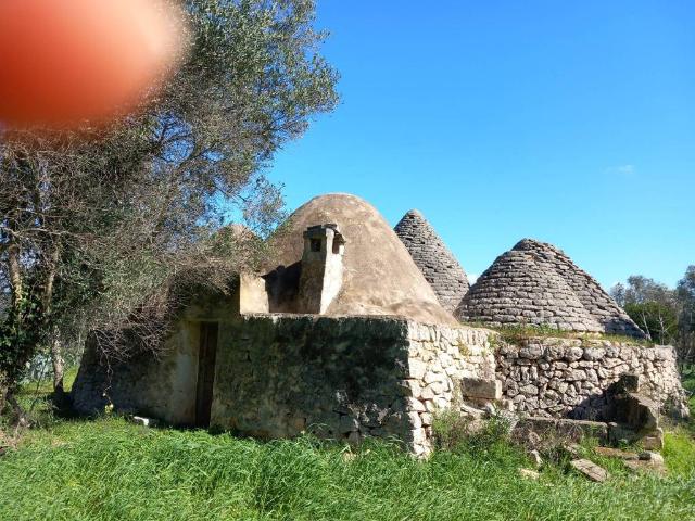 Rustico / Casale in vendita a San Michele Salentino BR