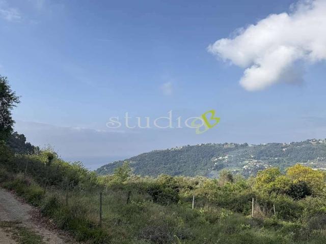 Rustico / Casale in vendita a San Biagio della Cima IM