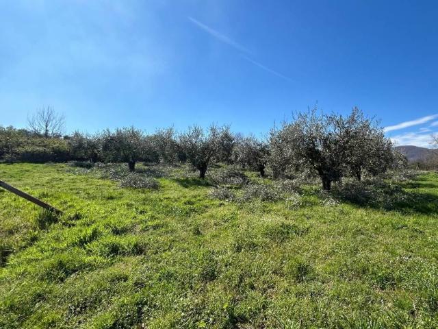 Rustico / Casale in vendita a San Cesareo RM