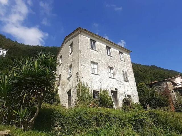 Rustico / Casale in vendita a San Colombano Certenoli GE