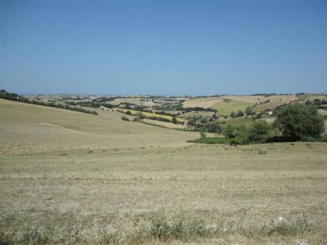Rustico / Casale in vendita a San Costanzo PU