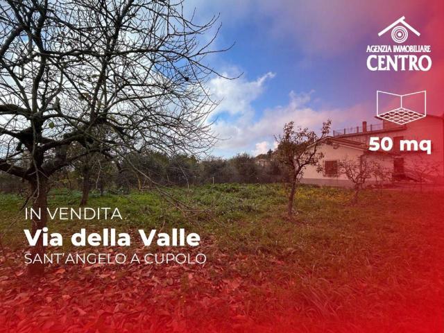 Rustico / Casale in vendita a San Giorgio del Sannio BN