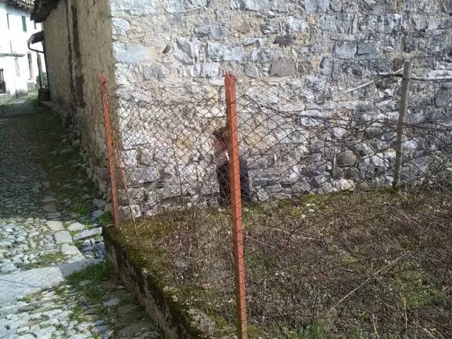 Rustico / Casale in vendita a San Giovanni Bianco BG