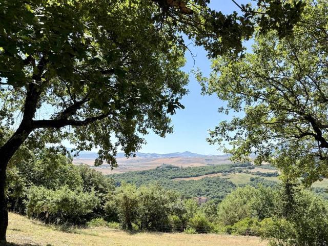 Rustico / Casale in vendita a San Quirico d'Orcia SI