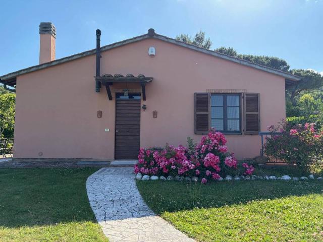 Rustico / Casale in vendita a San Venanzo TR