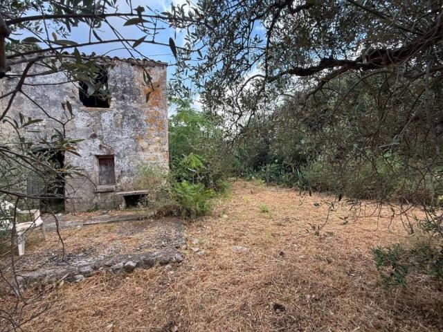 Rustico / Casale in vendita a San Vito Lo Capo TP