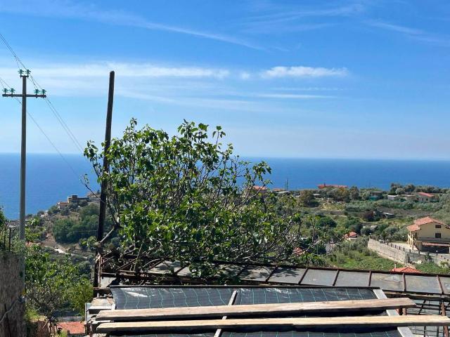 Rustico / Casale in vendita a Sanremo IM