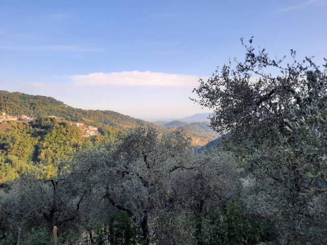 Rustico / Casale in vendita a Santo Stefano di Magra SP