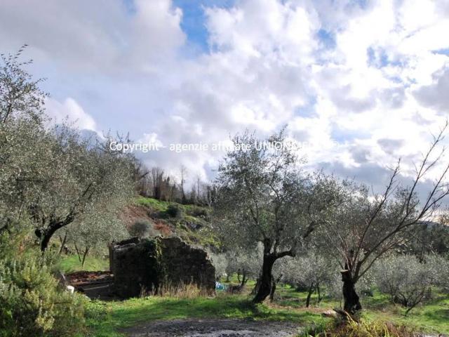 Rustico / Casale in vendita a Santo Stefano di Magra SP
