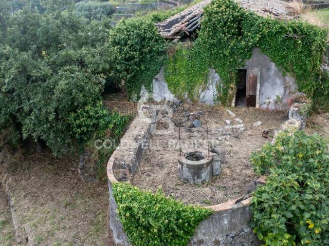 Rustico / Casale in vendita a Santa Venerina CT