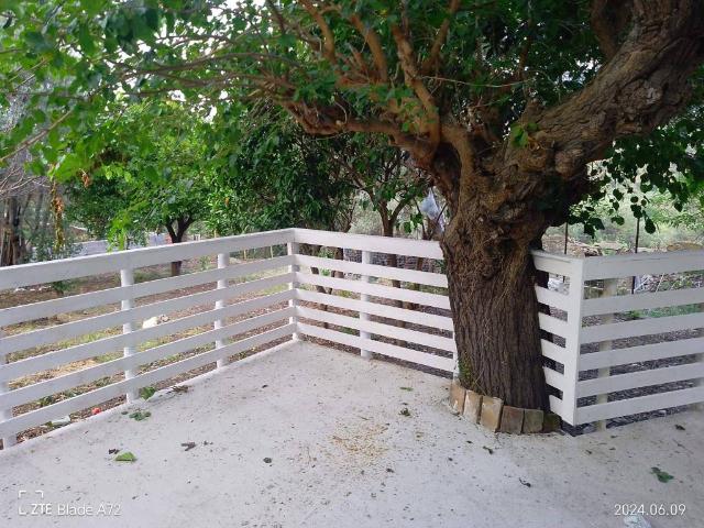 Rustico / Casale in vendita a Sant'Agata di Militello ME