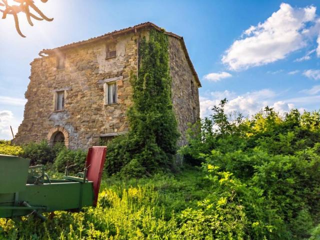 Rustico / Casale in vendita a Sant'Agata Feltria RN