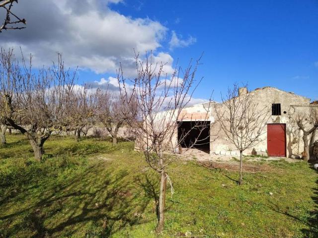 Rustico / Casale in vendita a Santeramo in Colle BA