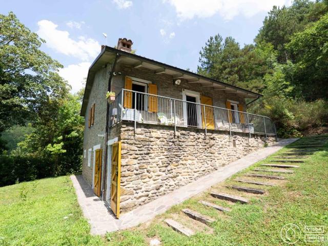 Rustico / Casale in vendita a Sarsina FC