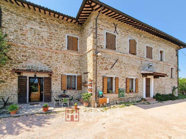 Rustico / Casale in vendita a Sassocorvaro Auditore PU