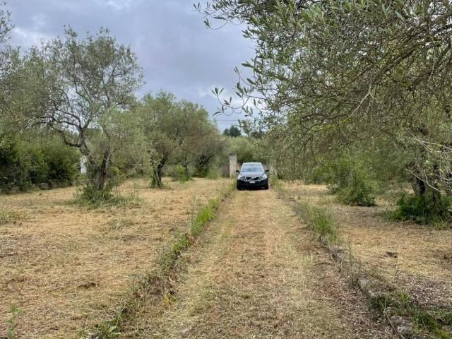 Rustico / Casale in vendita a Sassari SS