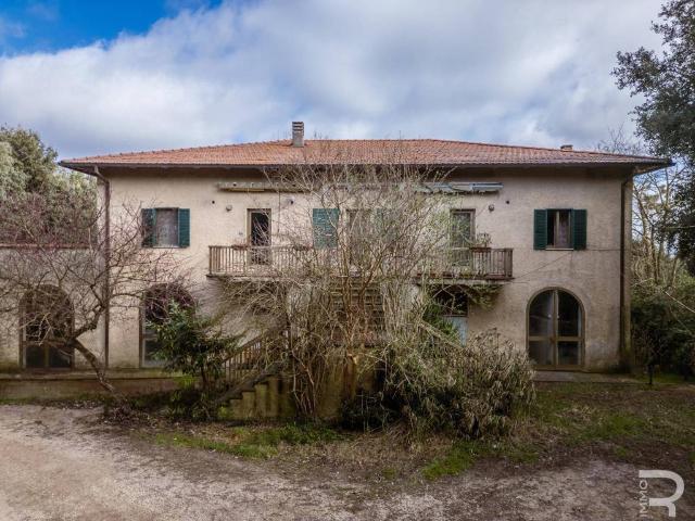 Rustico / Casale in vendita a Scansano GR