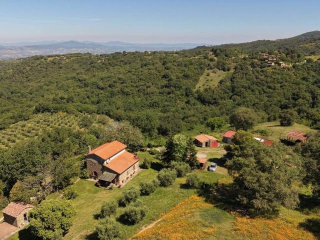 Rustico / Casale in vendita a Scansano GR