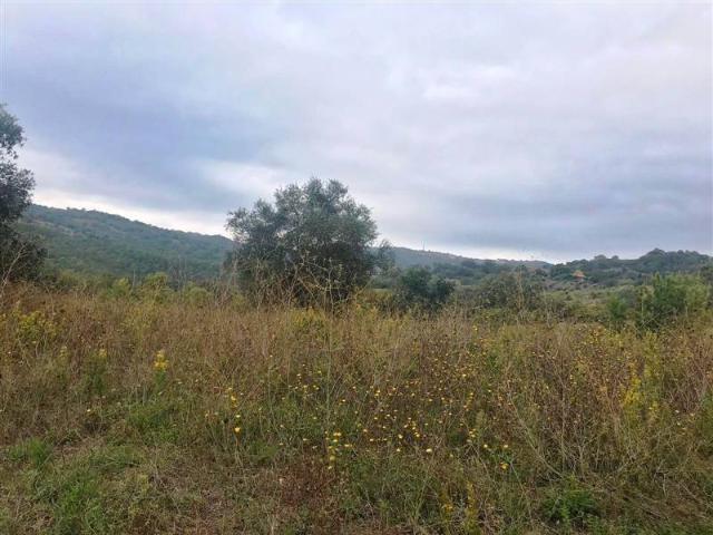 Rustico / Casale in vendita a Scansano GR