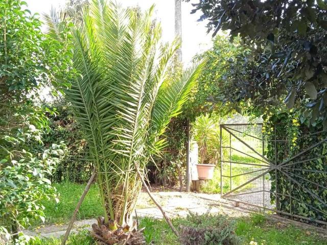 Rustico / Casale in vendita a Scarlino GR