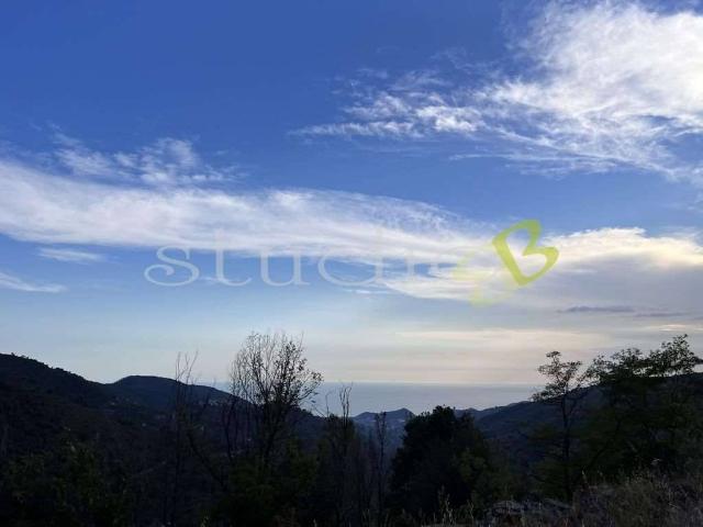 Rustico / Casale in vendita a Seborga IM