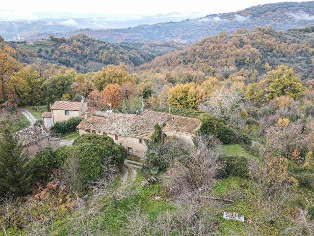 Rustico / Casale in vendita a Seggiano GR