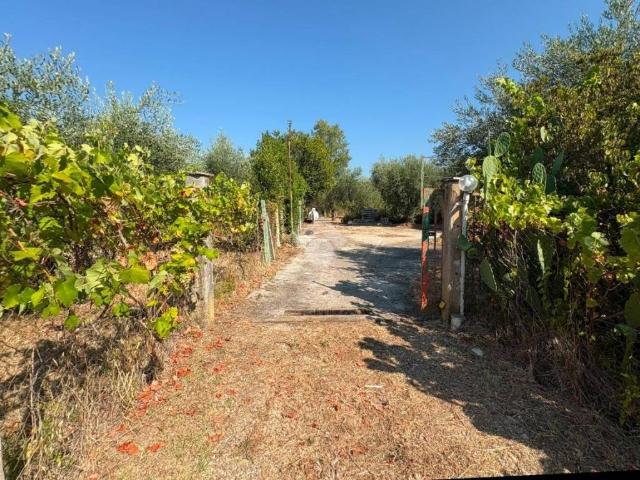 Rustico / Casale in vendita a Sermoneta LT