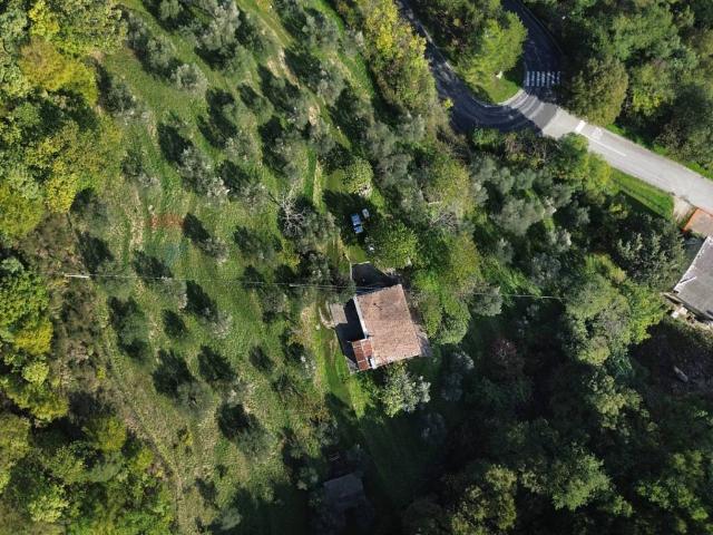 Rustico / Casale in vendita a Serra San Quirico AN