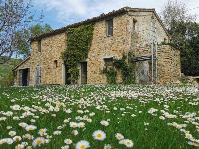 Rustico / Casale in vendita a Serra San Quirico AN