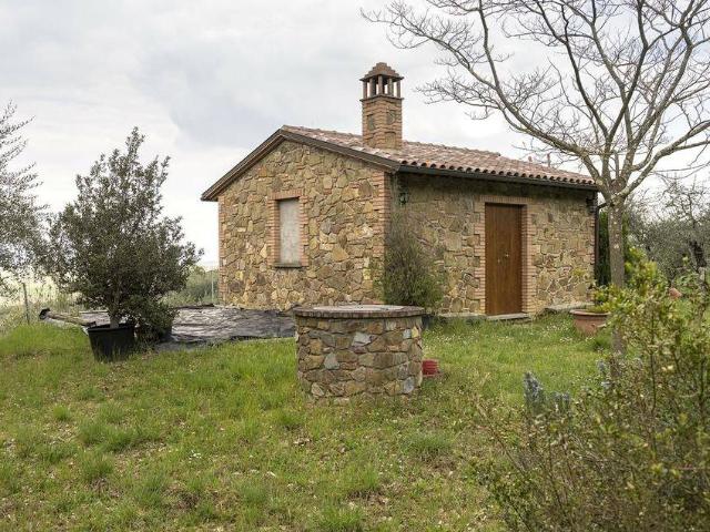 Rustico / Casale in vendita a Sinalunga SI