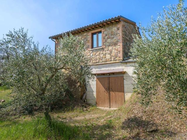Rustico / Casale in vendita a Sinalunga SI