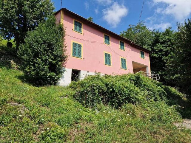 Rustico / Casale in vendita a Stella SV
