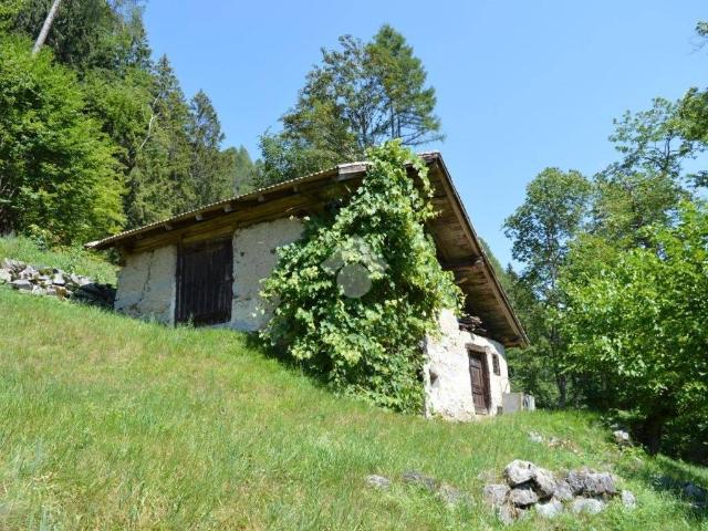 Rustico / Casale in vendita a Strembo TN