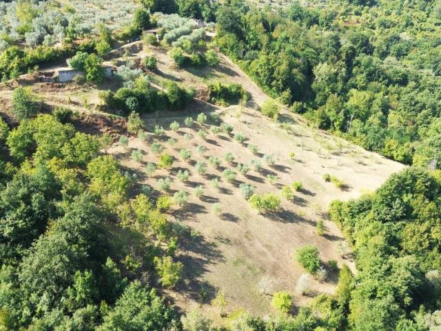 Rustico / Casale in vendita a Poggio Nativo RI