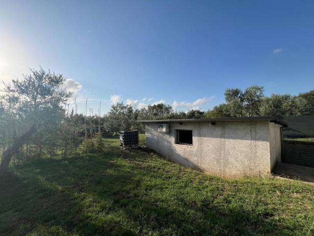 Rustico / Casale in vendita a Poli RM