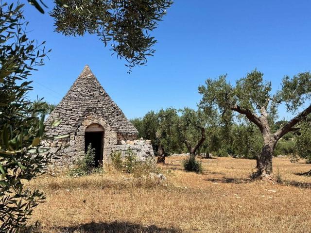 Rustico / Casale in vendita a Polignano a Mare BA