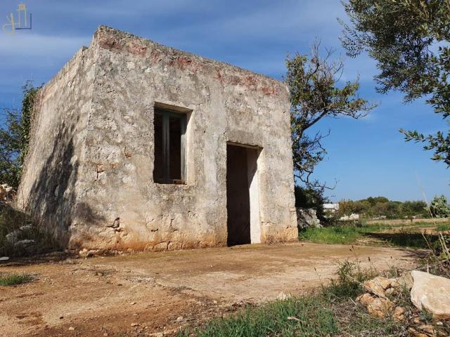 Rustico / Casale in vendita a Polignano a Mare BA