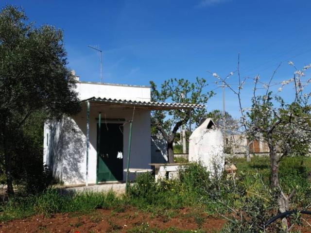 Rustico / Casale in vendita a Polignano a Mare BA