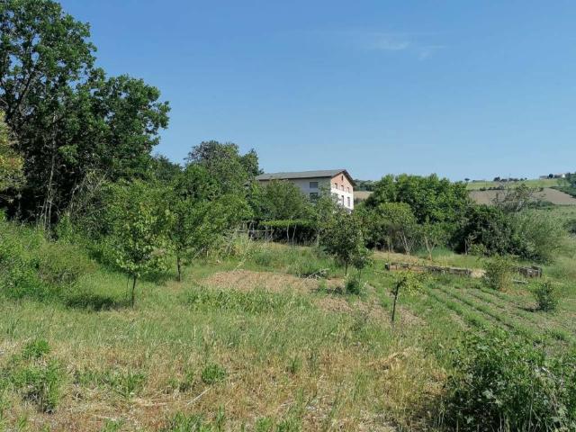 Rustico / Casale in vendita a Polverigi AN