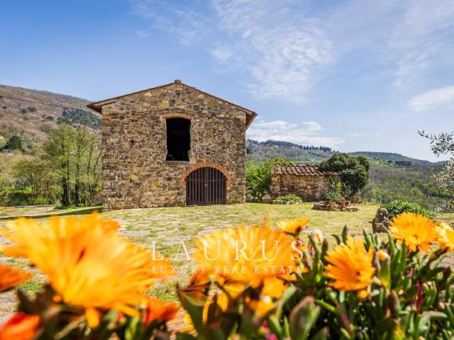 Rustico / Casale in vendita a Pontassieve FI