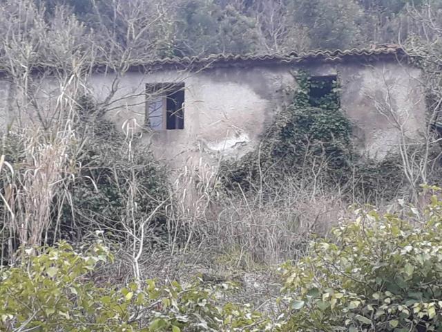 Rustico / Casale in vendita a Patrica FR