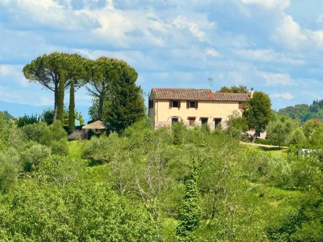 Rustico / Casale in vendita a Palaia PI
