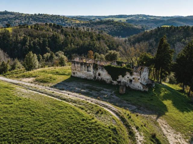 Rustico / Casale in vendita a Palaia PI