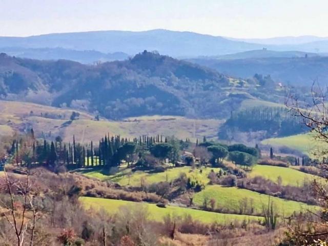 Rustico / Casale in vendita a Palaia PI