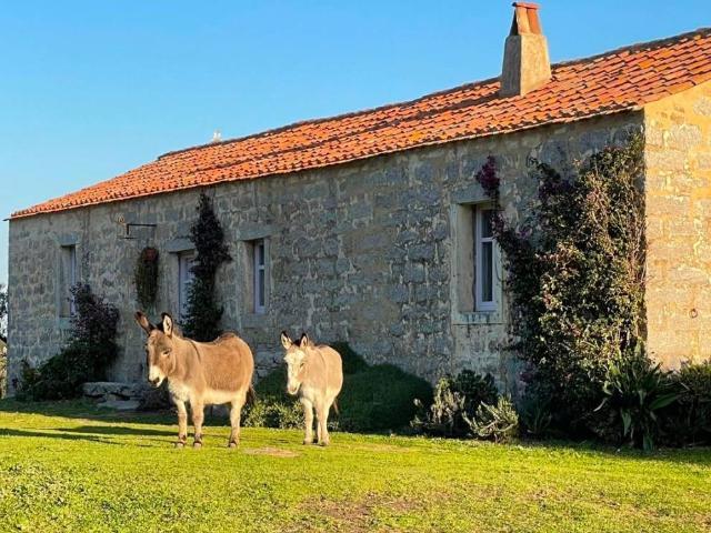 Rustico / Casale in vendita a Palau SS